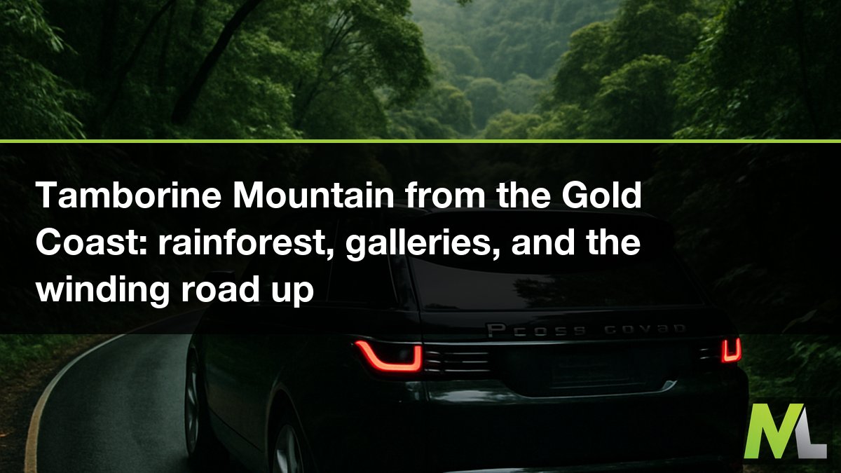 Tamborine Mountain from the Gold Coast: rainforest, galleries, and the winding road up